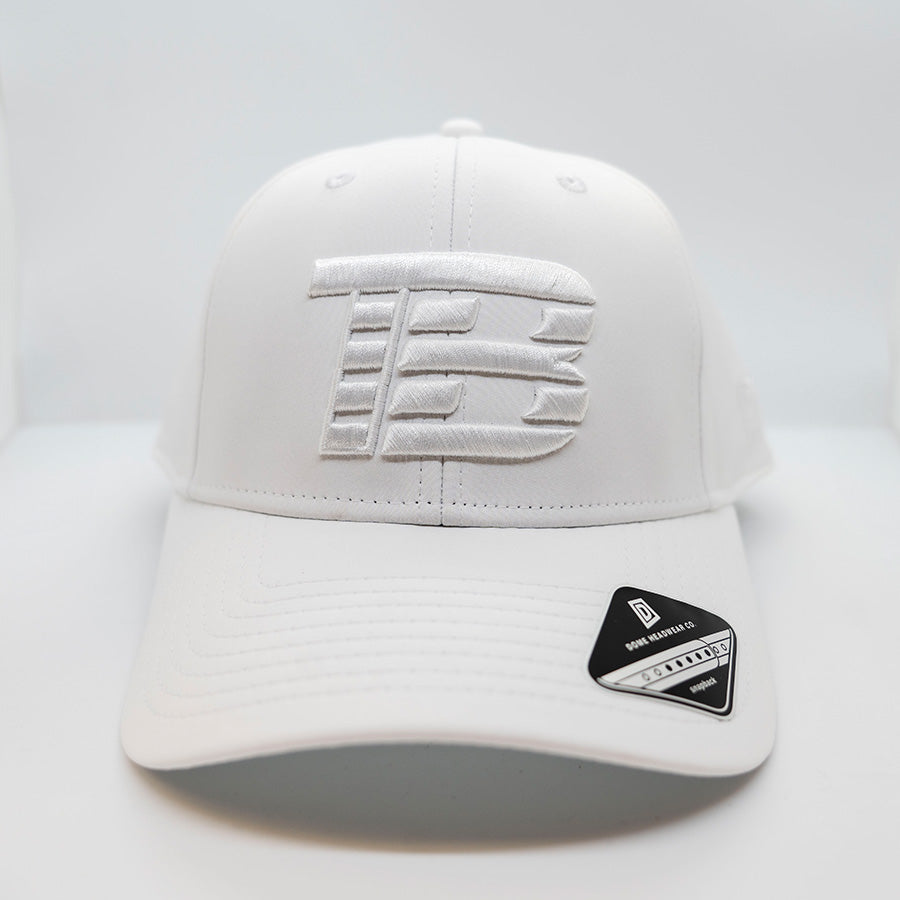 Monochromatic Logo Hat